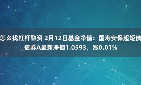 怎么找杠杆融资 2月12日基金净值：国寿安保超短债债券A最新净值1.0593，涨0.01%