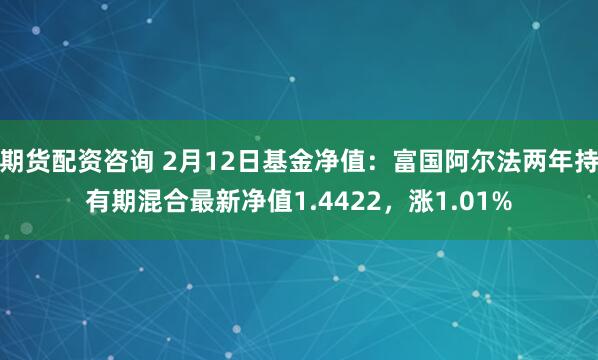 期货配资咨询 2月12日基金净值：富国阿尔法两年持有期混合最新净值1.4422，涨1.01%