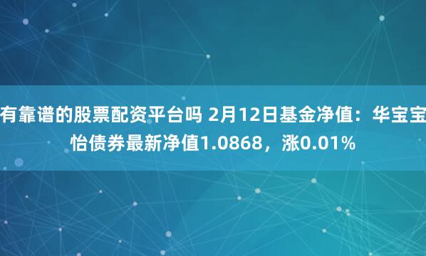 有靠谱的股票配资平台吗 2月12日基金净值：华宝宝怡债券最新净值1.0868，涨0.01%