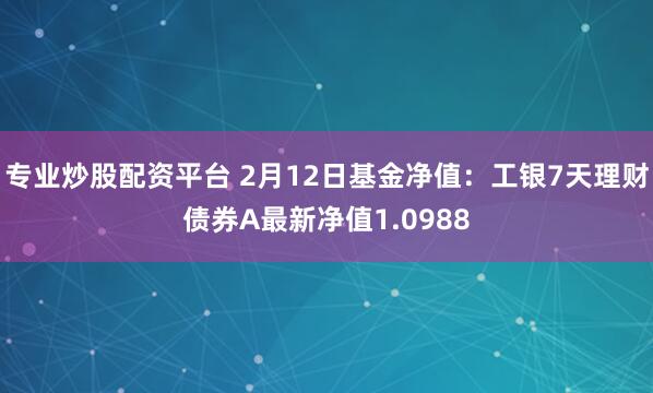 专业炒股配资平台 2月12日基金净值：工银7天理财债券A最新净值1.0988