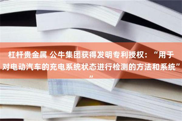 杠杆贵金属 公牛集团获得发明专利授权：“用于对电动汽车的充电系统状态进行检测的方法和系统”