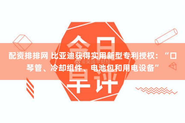 配资排排网 比亚迪获得实用新型专利授权：“口琴管、冷却组件、电池包和用电设备”