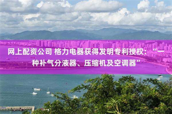 网上配资公司 格力电器获得发明专利授权：“一种补气分液器、压缩机及空调器”