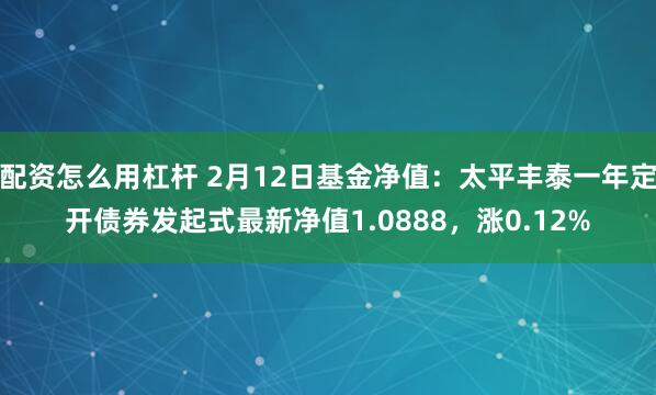 配资怎么用杠杆 2月12日基金净值：太平丰泰一年定开债券发起式最新净值1.0888，涨0.12%