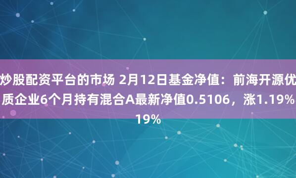 炒股配资平台的市场 2月12日基金净值：前海开源优质企业6个月持有混合A最新净值0.5106，涨1.19%