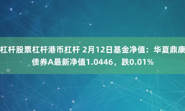 杠杆股票杠杆港币杠杆 2月12日基金净值：华夏鼎康债券A最新净值1.0446，跌0.01%