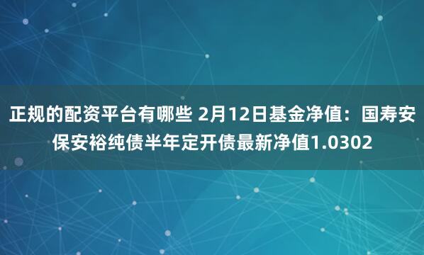 正规的配资平台有哪些 2月12日基金净值：国寿安保安裕纯债半年定开债最新净值1.0302