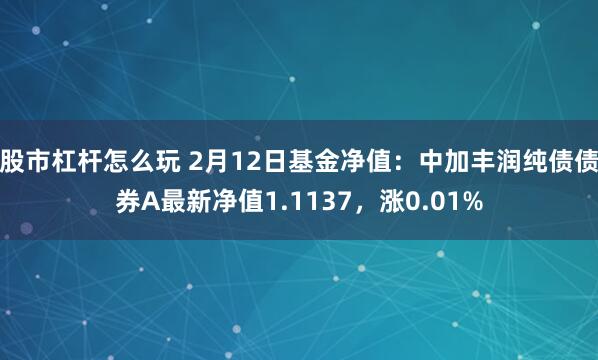 股市杠杆怎么玩 2月12日基金净值：中加丰润纯债债券A最新净值1.1137，涨0.01%