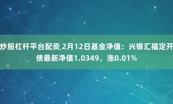 炒股杠杆平台配资 2月12日基金净值：兴银汇福定开债最新净值1.0349，涨0.01%