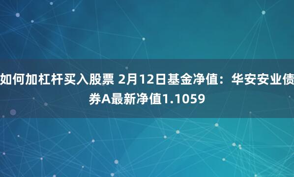 如何加杠杆买入股票 2月12日基金净值：华安安业债券A最新净值1.1059