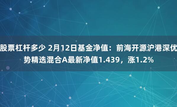 股票杠杆多少 2月12日基金净值：前海开源沪港深优势精选混合A最新净值1.439，涨1.2%