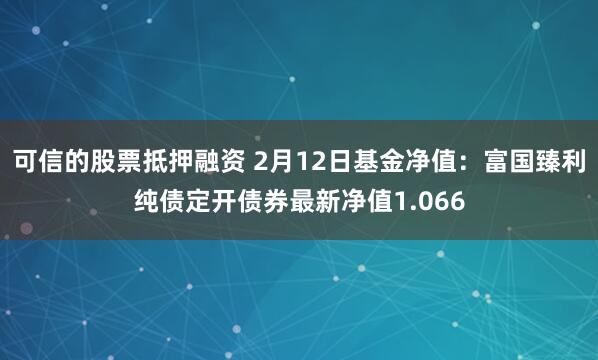 可信的股票抵押融资 2月12日基金净值：富国臻利纯债定开债券最新净值1.066