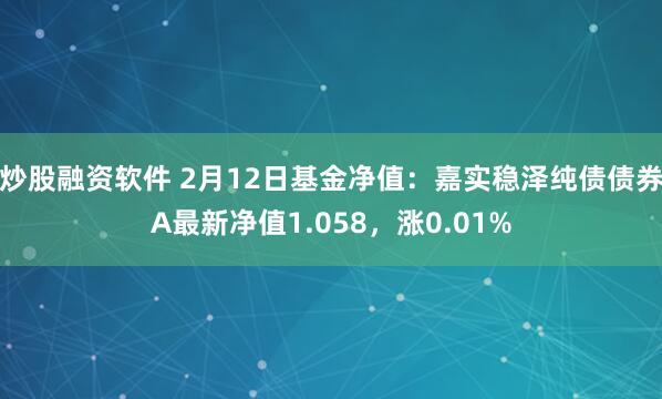 炒股融资软件 2月12日基金净值：嘉实稳泽纯债债券A最新净值1.058，涨0.01%