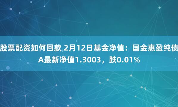 股票配资如何回款 2月12日基金净值：国金惠盈纯债A最新净值1.3003，跌0.01%