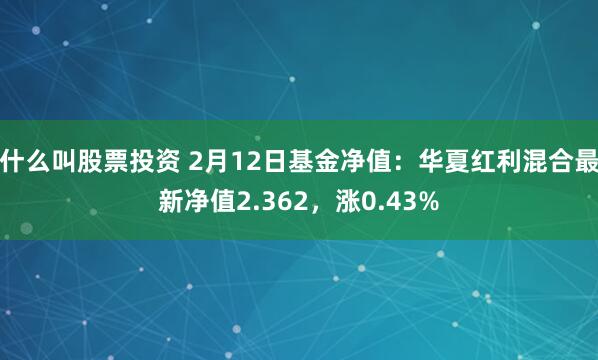 什么叫股票投资 2月12日基金净值：华夏红利混合最新净值2.362，涨0.43%