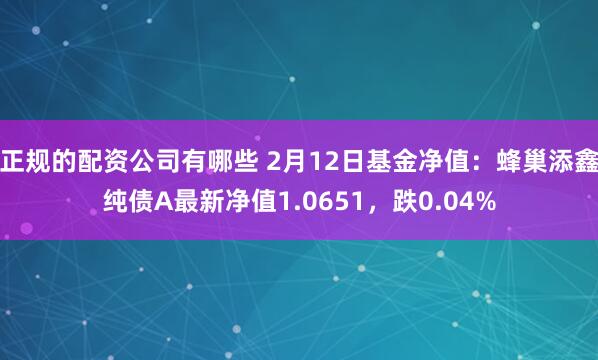 正规的配资公司有哪些 2月12日基金净值：蜂巢添鑫纯债A最新净值1.0651，跌0.04%