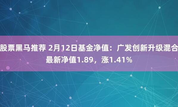 股票黑马推荐 2月12日基金净值：广发创新升级混合最新净值1.89，涨1.41%