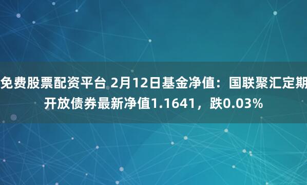 免费股票配资平台 2月12日基金净值：国联聚汇定期开放债券最新净值1.1641，跌0.03%