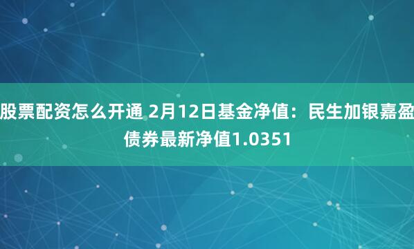 股票配资怎么开通 2月12日基金净值：民生加银嘉盈债券最新净值1.0351