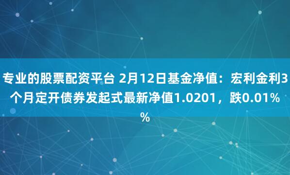 专业的股票配资平台 2月12日基金净值：宏利金利3个月定开债券发起式最新净值1.0201，跌0.01%