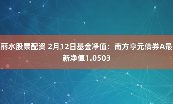 丽水股票配资 2月12日基金净值：南方亨元债券A最新净值1.0503