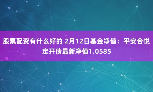 股票配资有什么好的 2月12日基金净值：平安合悦定开债最新净值1.0585