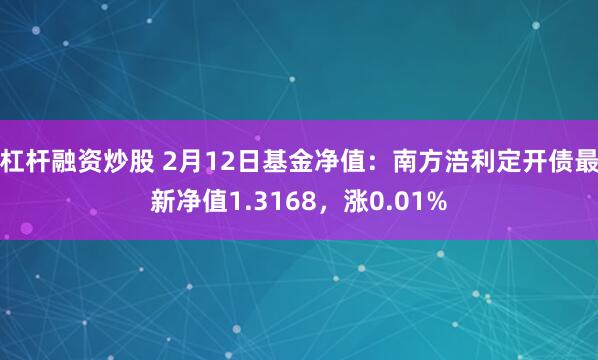 杠杆融资炒股 2月12日基金净值：南方涪利定开债最新净值1.3168，涨0.01%