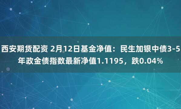 西安期货配资 2月12日基金净值：民生加银中债3-5年政金债指数最新净值1.1195，跌0.04%