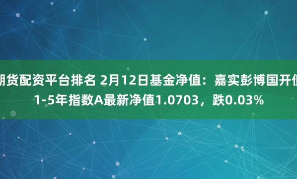 期货配资平台排名 2月12日基金净值：嘉实彭博国开债1-5年指数A最新净值1.0703，跌0.03%