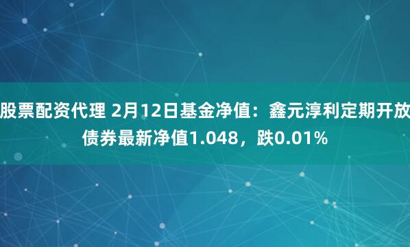 股票配资代理 2月12日基金净值：鑫元淳利定期开放债券最新净值1.048，跌0.01%