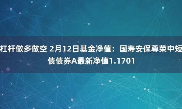 杠杆做多做空 2月12日基金净值：国寿安保尊荣中短债债券A最新净值1.1701