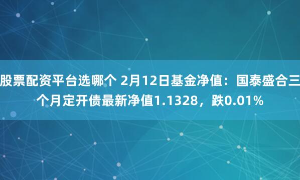 股票配资平台选哪个 2月12日基金净值：国泰盛合三个月定开债最新净值1.1328，跌0.01%