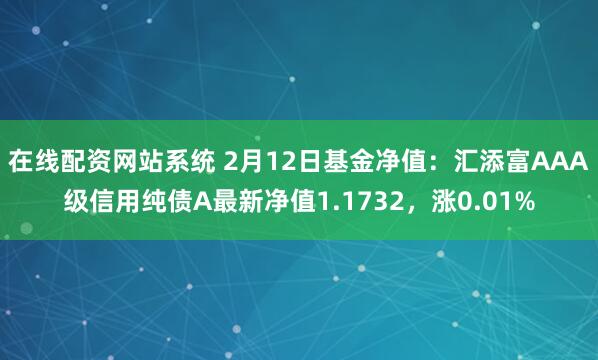 在线配资网站系统 2月12日基金净值：汇添富AAA级信用纯债A最新净值1.1732，涨0.01%